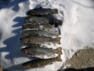 Ice Fishing at KDOT East in Wichita